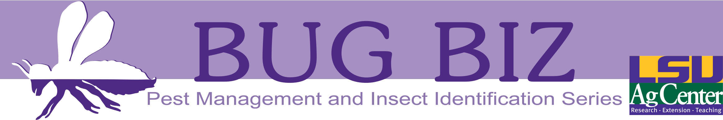BugBiz header purplejpg